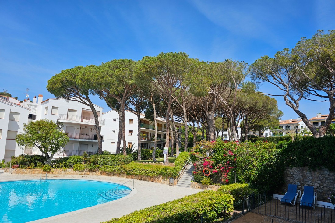 Appartement Centre Piscine